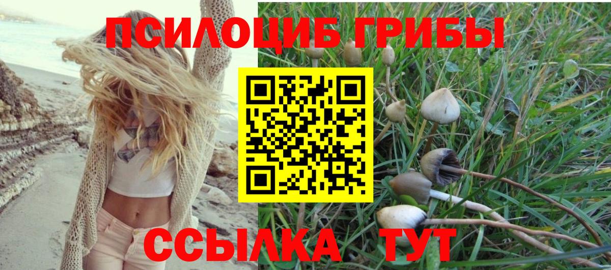 Вышний Волочёк  Псилоцибиновые грибы мухоморы  где продают наркотики  Вход с VPN 