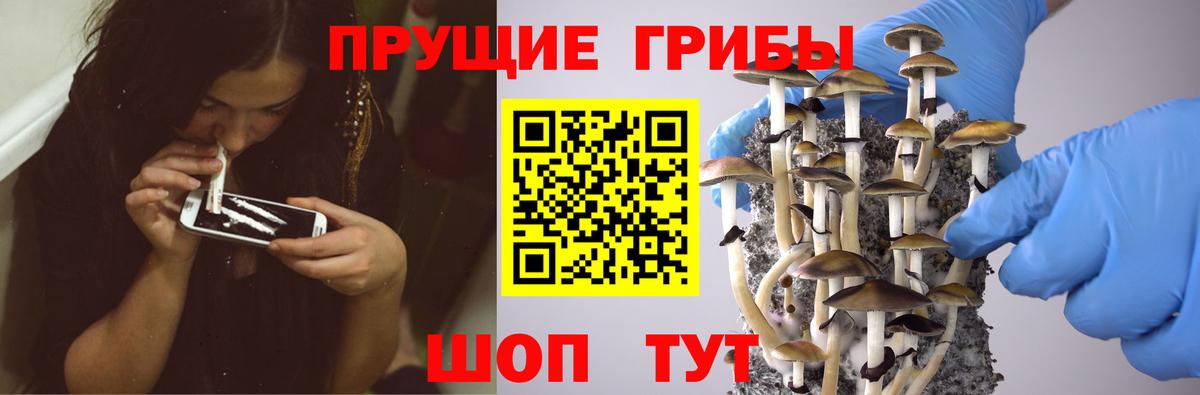 Галлюциногенные грибы MAGIC MUSHROOMS Вышний Волочёк